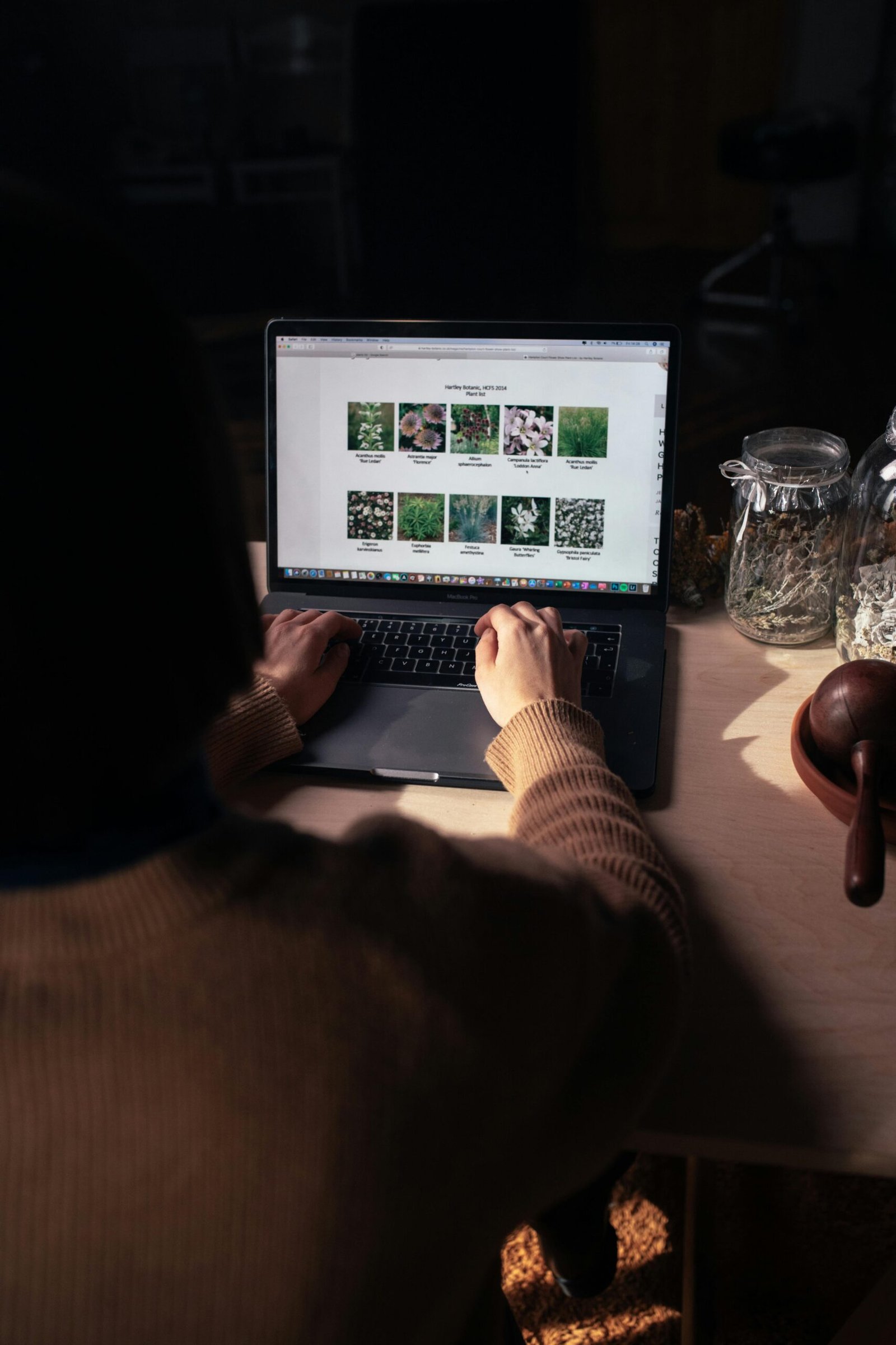 Web Designing Company in Dehradun